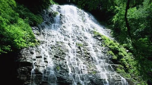 高效自动化